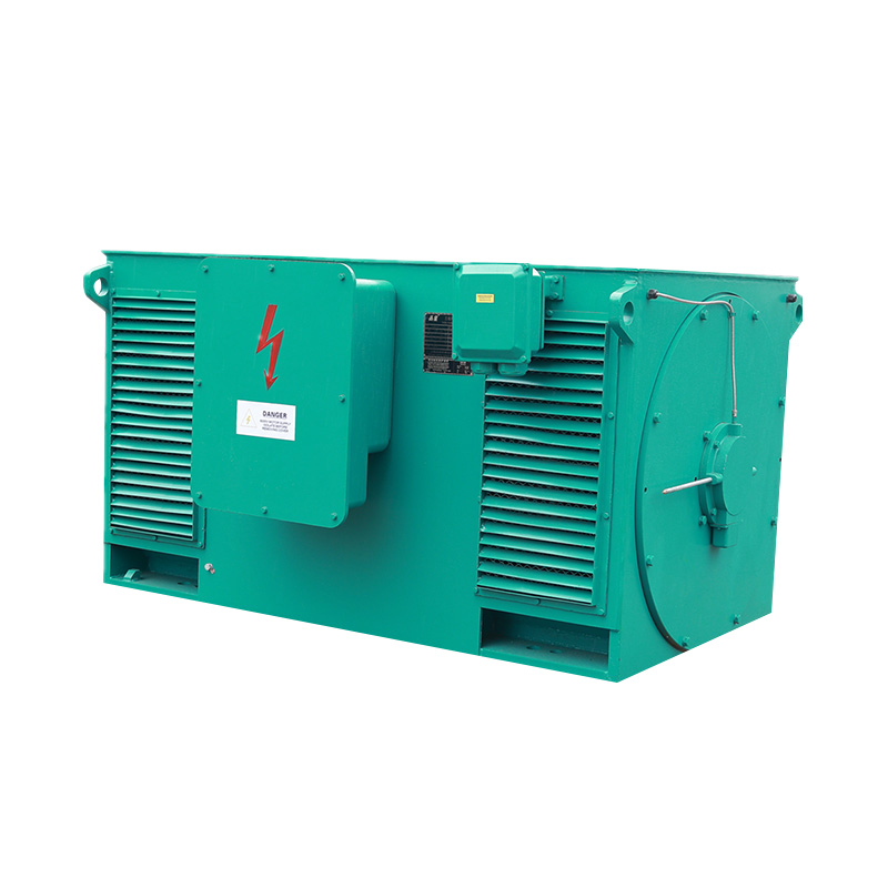 Y Series High-Voltage Three Phase Induction Motor (H:355-1000mm)