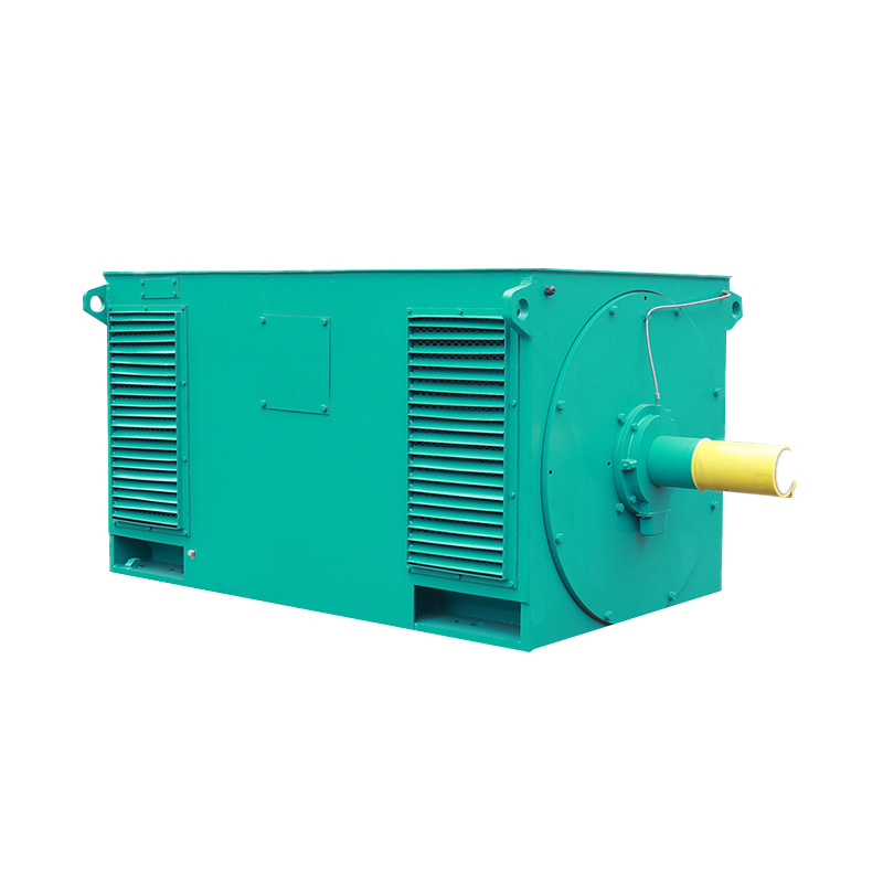 Y Series High-Voltage Three Phase Induction Motor (H:355-1000mm)